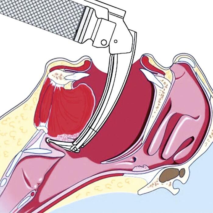 HEINE FlexTip+ F.O. Spatel