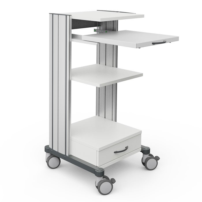 HAEBERLE swingo 45 Gertewagen 2   