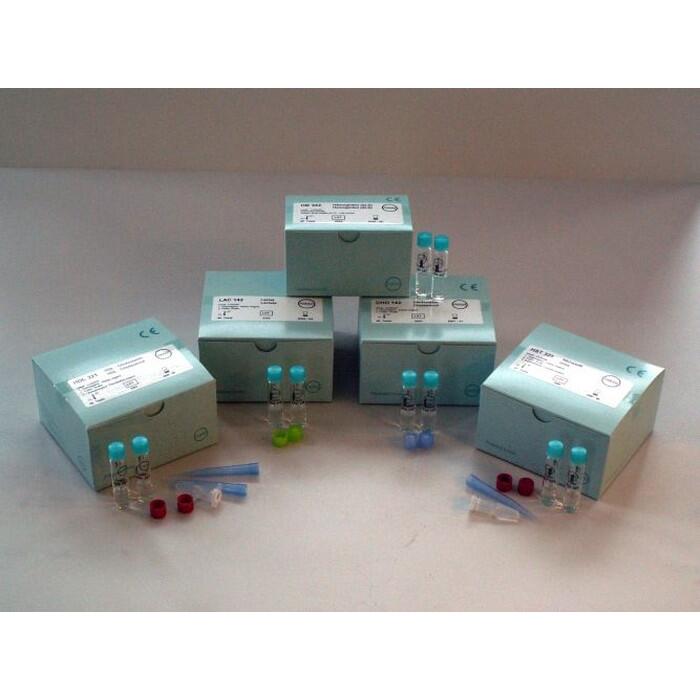diaglobal Hmoglobin-SLS Rundkvette (40 Stck)