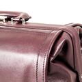 DRASOL Arzttasche PRIMUS bordeaux