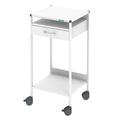 HAEBERLE 08/16 Steharbeitsplatz Laptopwagen 45   