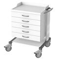 HAEBERLE swingo-clinic 60 Gertewagen NA 1 