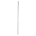Sarstedt BSG Pipette mit Kolbenhlse