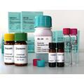 diaglobal Hmoglobin-Kontrolle, Inhalt: 5 x 1ml